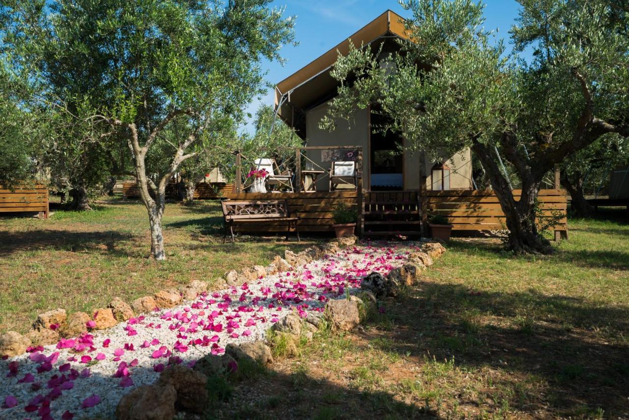 Apartament Agrikies Country Retreat Marathópolis Zewnętrze zdjęcie